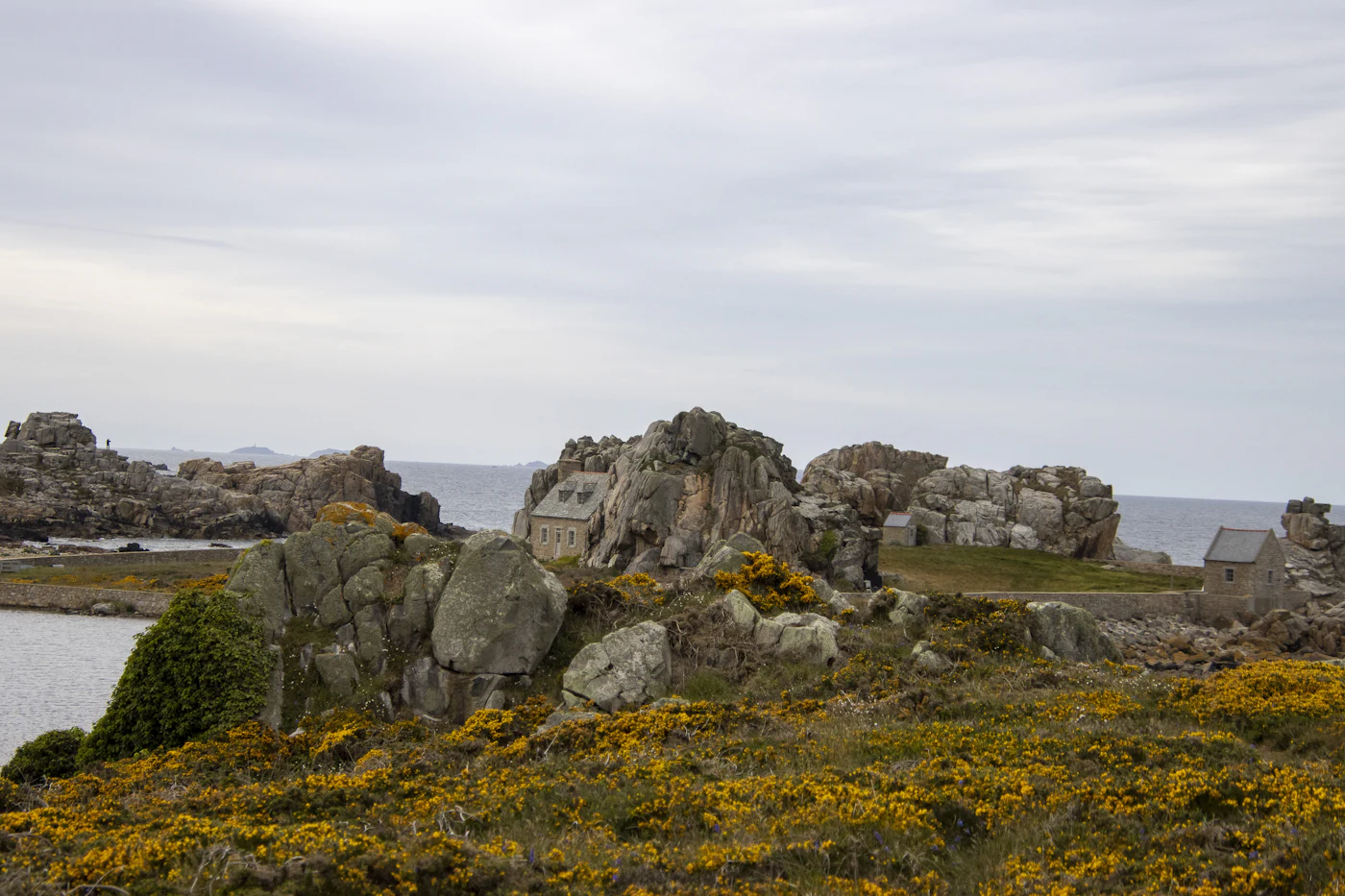 La maison entre les rochers de Castel Meur, entourée d'ajoncs en fleurs, à Plougrescant
